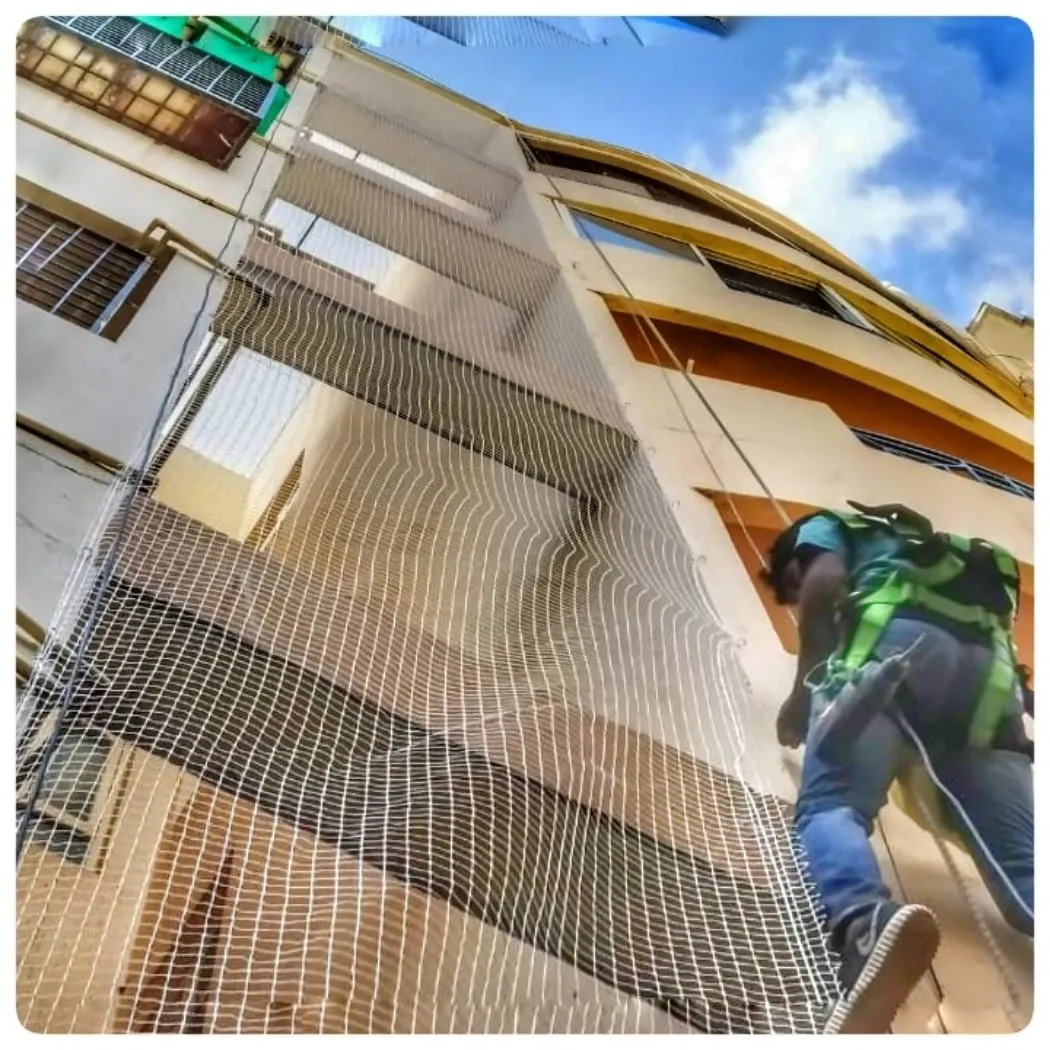 Society Bird Netting Service